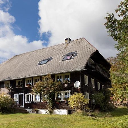 Waelder: Quartier Dachsberg Villa Dachsberg im Schwarzwald Exterior photo
