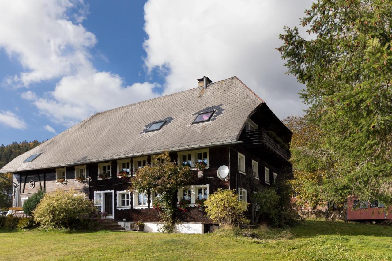 Waelder: Quartier Dachsberg Villa Dachsberg im Schwarzwald Exterior photo
